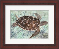 Framed Sea Turtle Collage 1