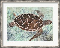 Framed Sea Turtle Collage 1