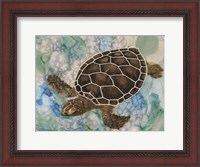 Framed Sea Turtle Collage 2