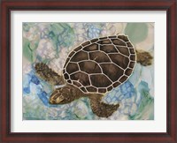 Framed Sea Turtle Collage 2