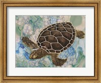 Framed Sea Turtle Collage 2