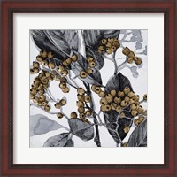 Framed Holly Shadow II