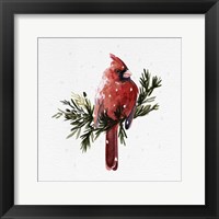 Framed Cardinal with Snow I