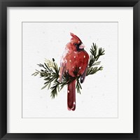 Framed 'Cardinal with Snow I' border=