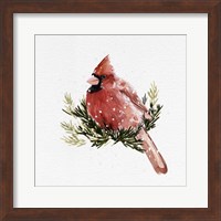 Framed Cardinal with Snow II