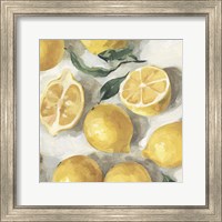 Framed 'Fresh Lemons II' border=