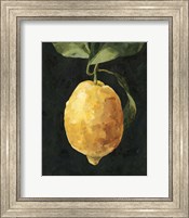 Framed Dark Lemon I