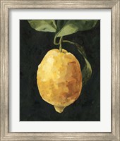 Framed 'Dark Lemon I' border=