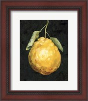 Framed Dark Lemon II