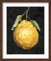 Framed Dark Lemon II