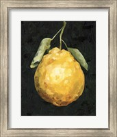 Framed Dark Lemon II