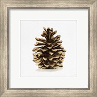 Framed 'Conifer Cone I' border=