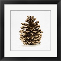 Framed 'Conifer Cone I' border=