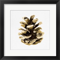 Framed 'Conifer Cone II' border=