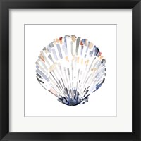 Simple Shells III Framed Print