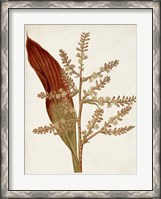 Framed Muted Botanicals I