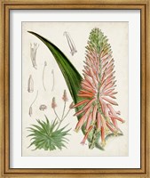 Framed Delicate Tropicals I