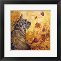 Framed Playful Pup VIII