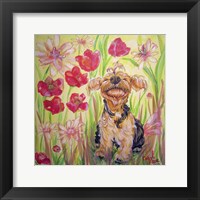 Framed Playful Pup X