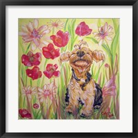 Framed Playful Pup X