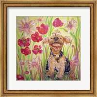 Framed Playful Pup X