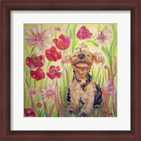 Framed Playful Pup X