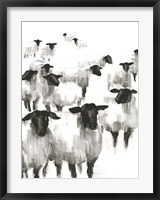 Framed Counting Sheep II