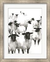 Framed Counting Sheep II