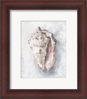 Framed 'White Shell Study II' border=