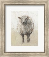 Framed Fluffy Sheep I