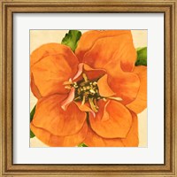 Framed Copper Petals I