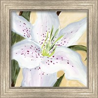 Framed 'White Lily I' border=