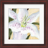 Framed 'White Lily I' border=
