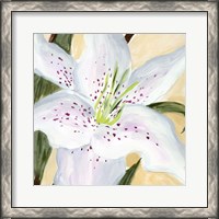 Framed White Lily I