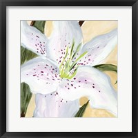 White Lily I Framed Print
