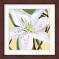 Framed White Lily II