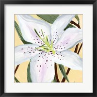 White Lily II Framed Print
