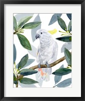 Cockatoo Perch II Framed Print