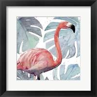 Framed Flamingo Splash I