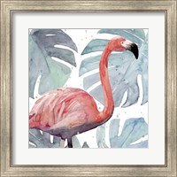 Framed 'Flamingo Splash I' border=