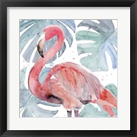 Framed 'Flamingo Splash II' border=