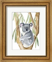 Framed Woodland Koala I
