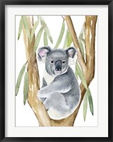 Framed Woodland Koala I