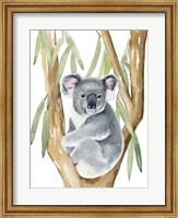 Framed Woodland Koala I