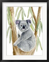 Framed Woodland Koala II