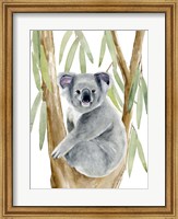Framed Woodland Koala II