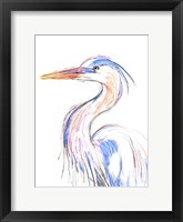 Heron's Glance II Framed Print