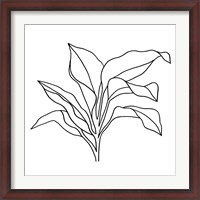 Framed Foliage Contour I