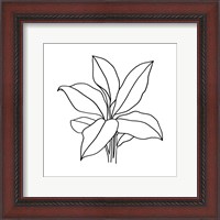 Framed Foliage Contour II