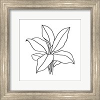 Framed Foliage Contour II